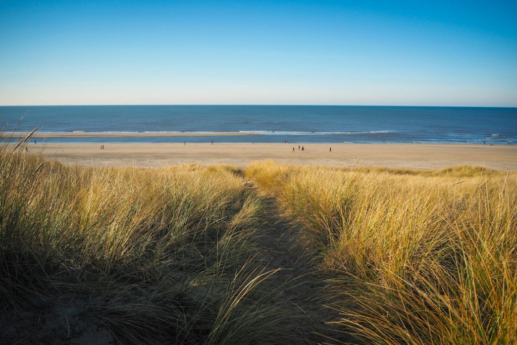 Life’s a (dutch) beach. Life’s a (dutch) beach.